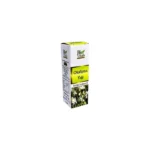 Okaliptus (evkalipt) yağı 20 ml Bio Vitals