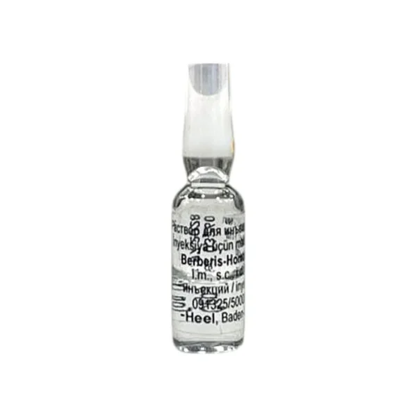 Berberis homaccord 1,1 ml N5 inyeksiya